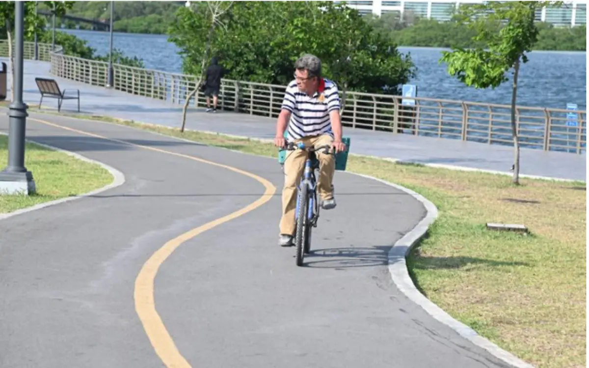 Día mundial de la bicicleta 